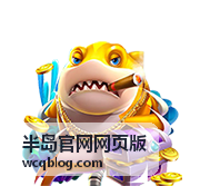 半岛官网网页版服务说明卡片